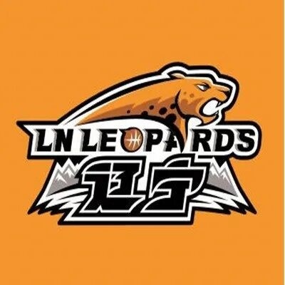 年再次成为, 辽宁沈阳三