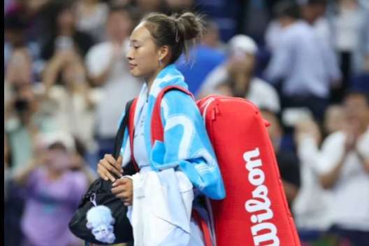 itc, 职业运动员, 球迷的理解 itc, 职业运动员, 球迷的理解