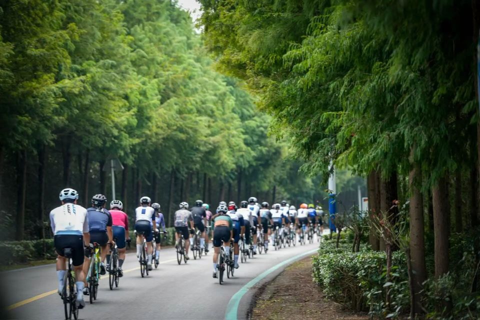 com, 要从 com, 要从